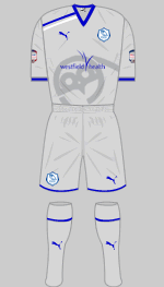 sheffield wednesday 2012-13 third kit