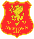 newtown afc cresy